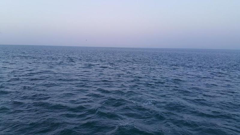 وأجنحة رامي 4 3*